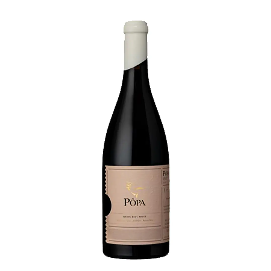 PÔPA AMPHORA Tinto DOC DOURO 2019 - 75cl 1