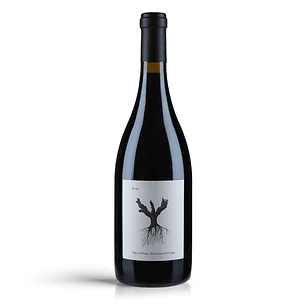 Dominio de Pingus PSI 2022  - 1,5l