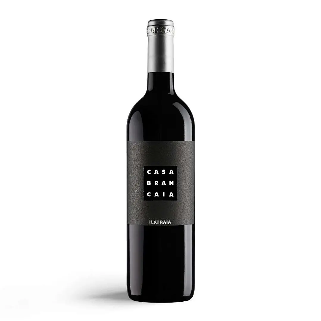 Brancaia Ilatraia 2021 - 75cl 1
