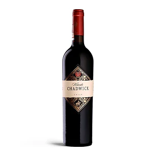 Viñedo Chadwick 2011 - 75cl