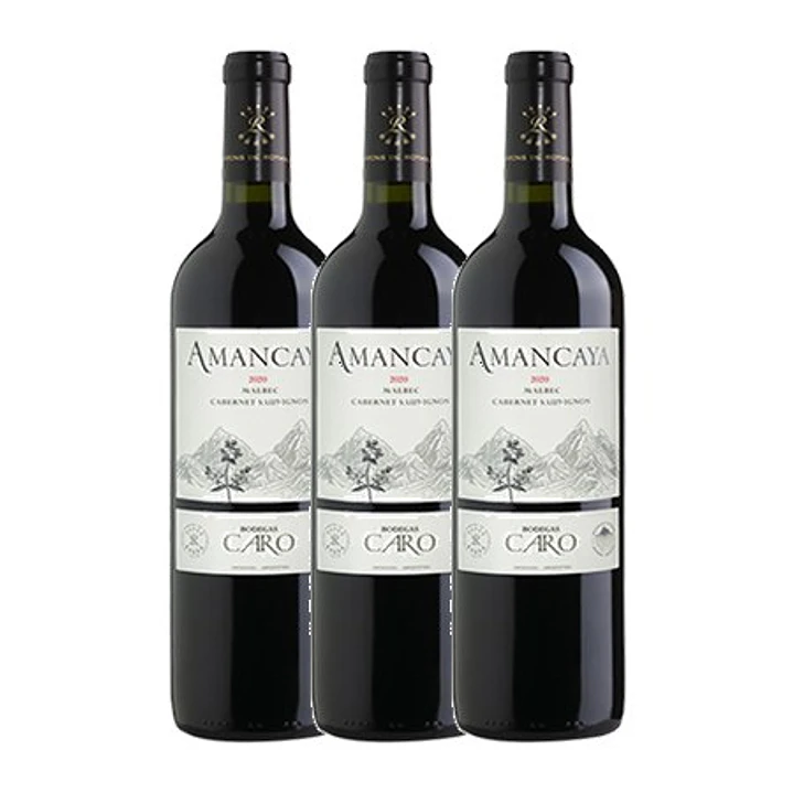 AMANCAYA - Catena Zapata & Rothschild 2017 3