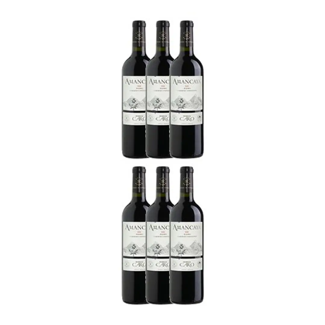 AMANCAYA - Catena Zapata & Rothschild 2017 4