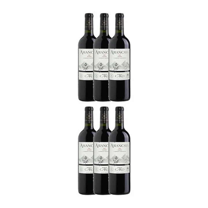 AMANCAYA - Catena Zapata & Rothschild 2017 4