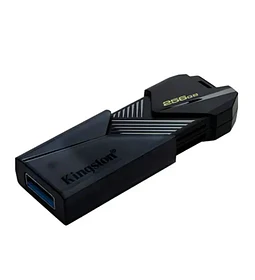 PENDRIVE 256GB KINGSTON DT ONIX