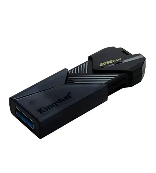 PENDRIVE 256GB KINGSTON DT ONIX