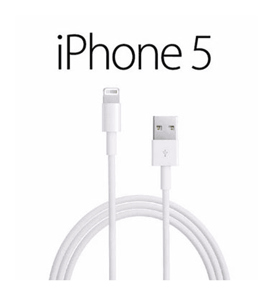 CABLE CEL IPHONE 5 ORIGINAL WD818