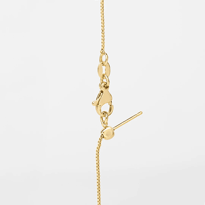 Set collar y aretes de corazón animal print