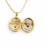 Relicario ovalado diseño mariposa dorada 