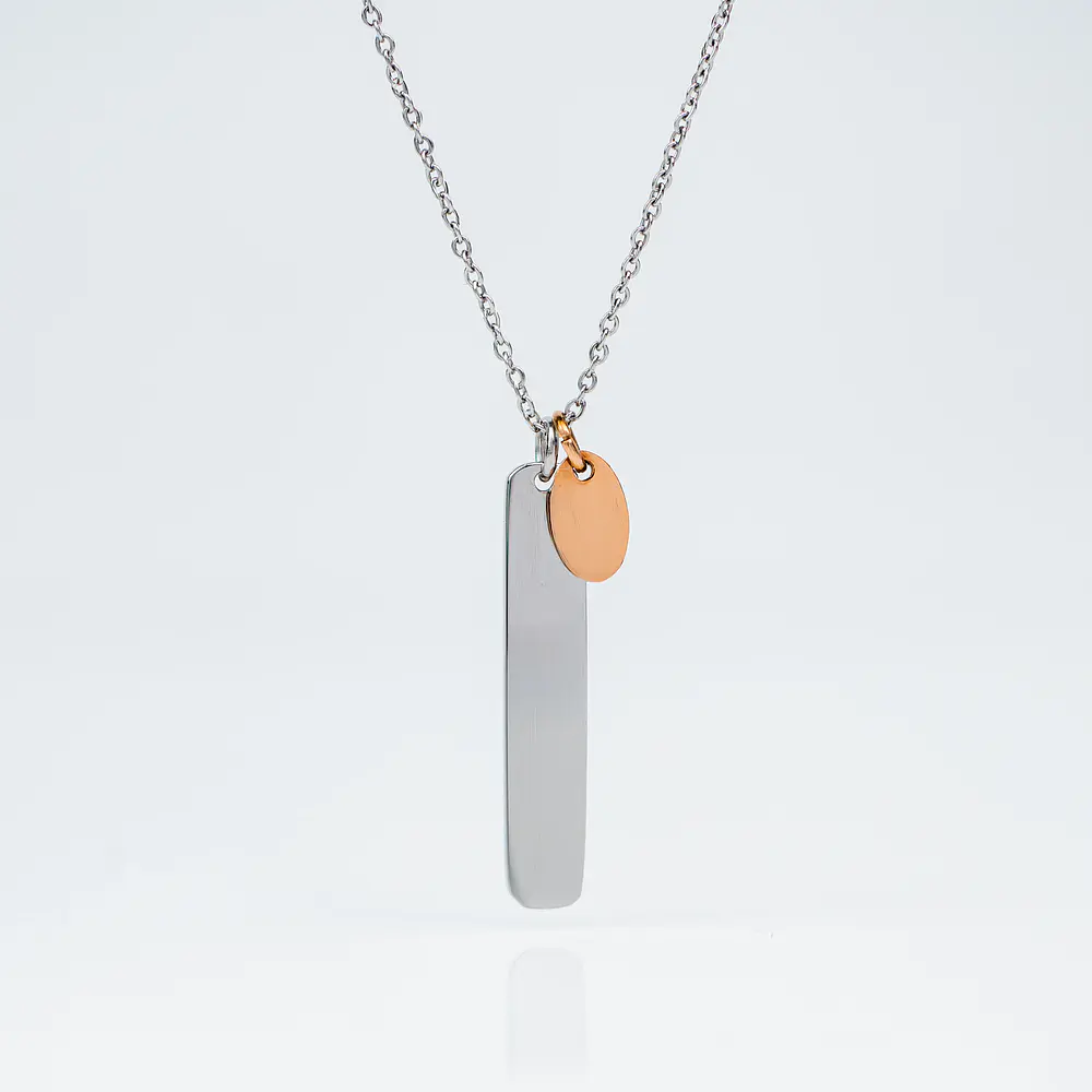 Collar Medalla Rectangular Plateado y Dije Ovalado Personalizable