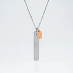 Collar Medalla Rectangular Plateado y Dije Ovalado Personalizable