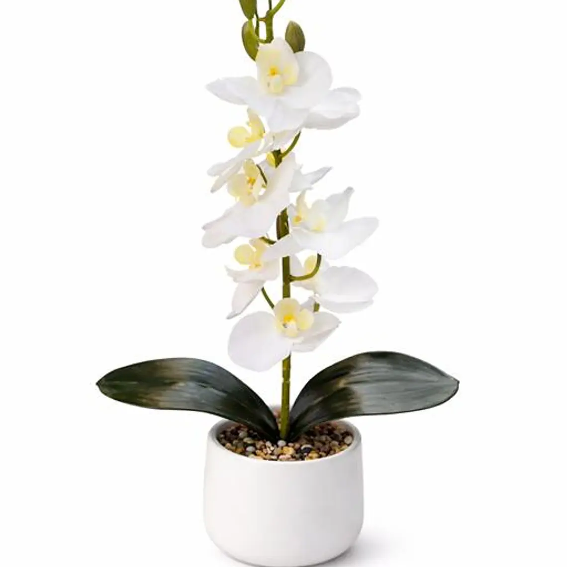 ORQUIDEA 38CM 1