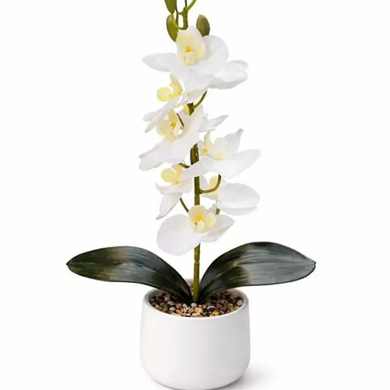 ORQUIDEA 38CM 1