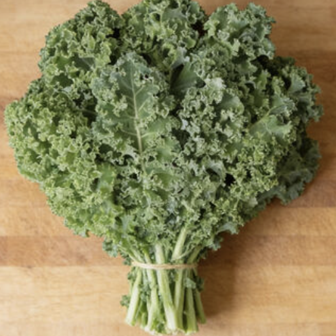 Curly kale 'darkibor' 1