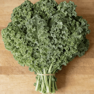 Curly kale 'darkibor'