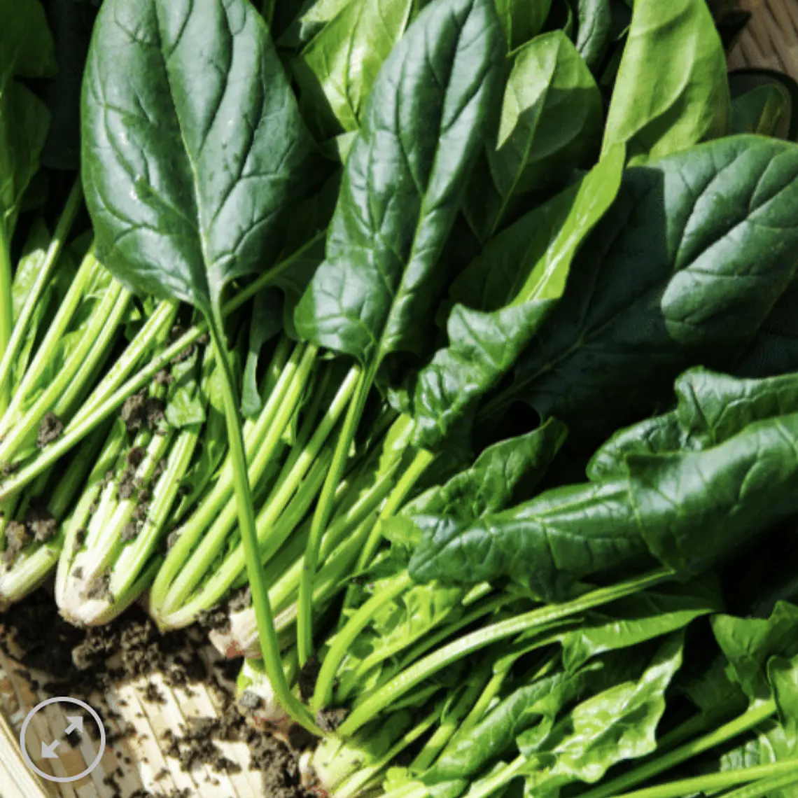 True Spinach  1
