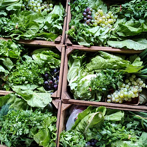 Farmer's choice - box of the season - spring