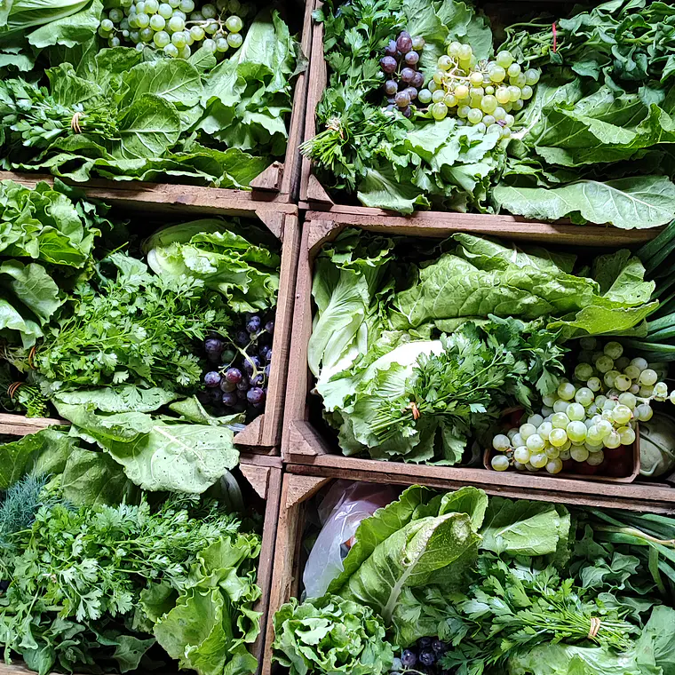 Farmer's choice - box of the season - spring 1