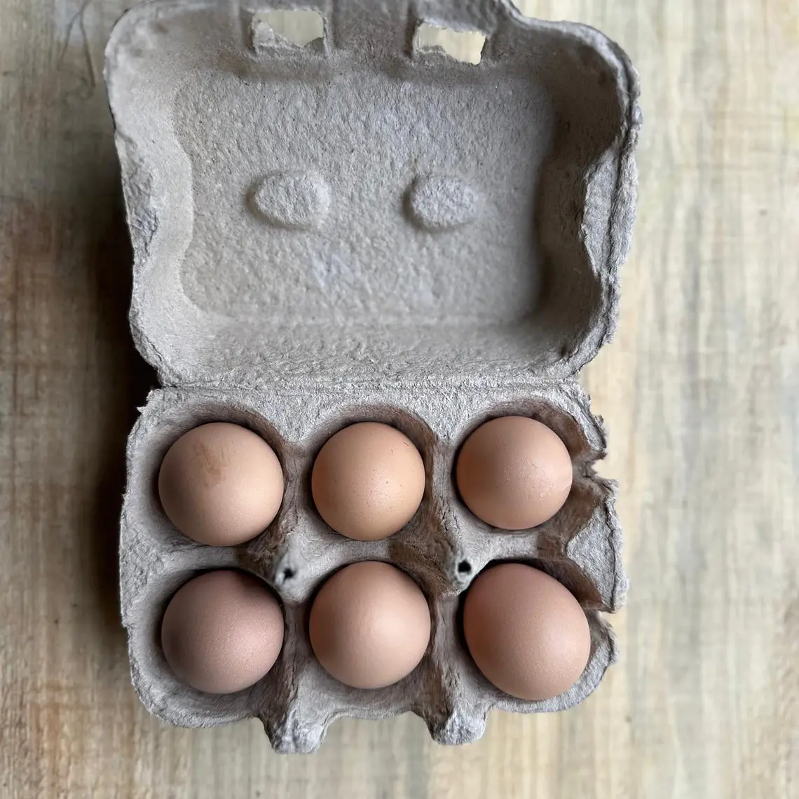 pasture eggs 1