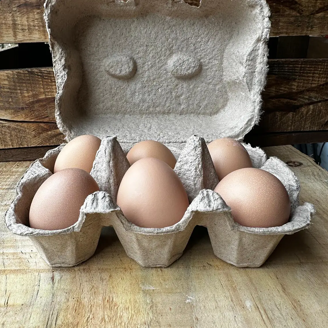 pasture eggs 2
