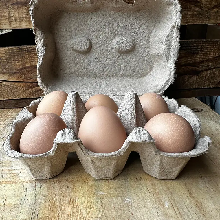 pasture eggs 2