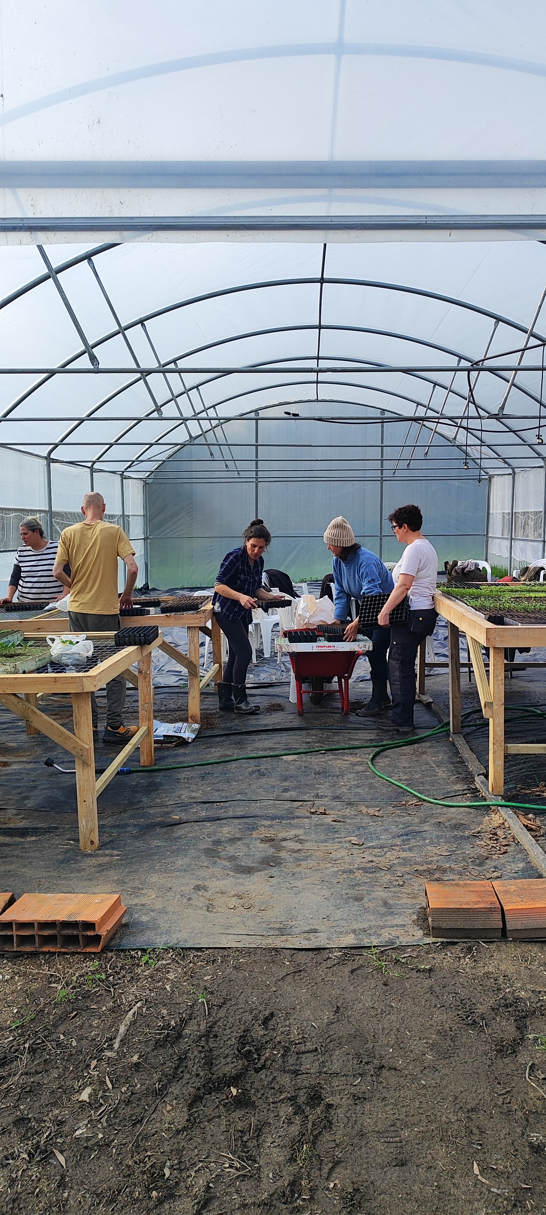 Students propagating seeds in the greenhouse