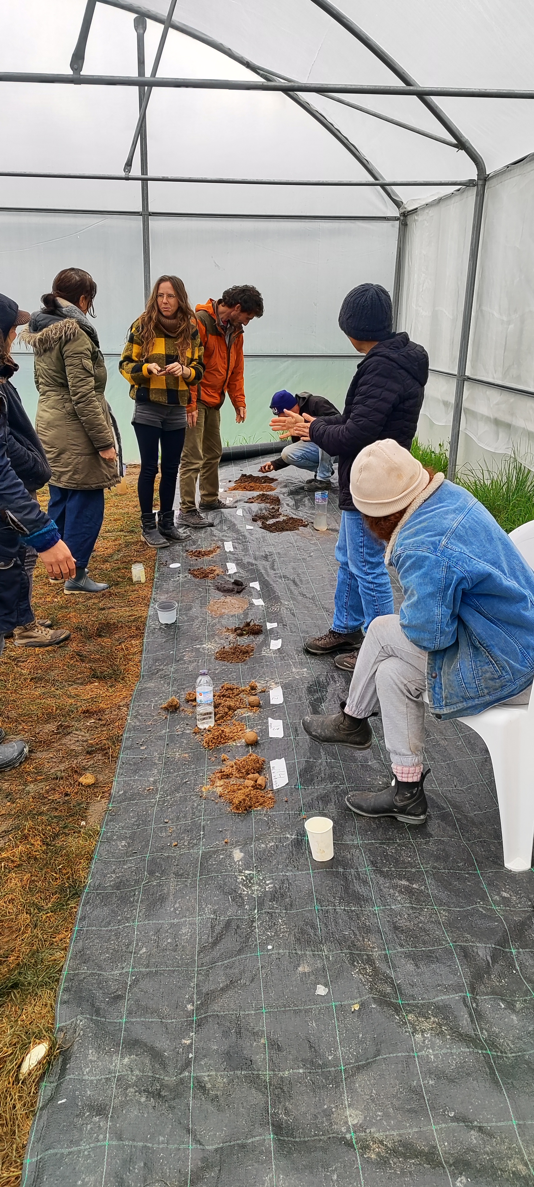 Soil testing session with the group