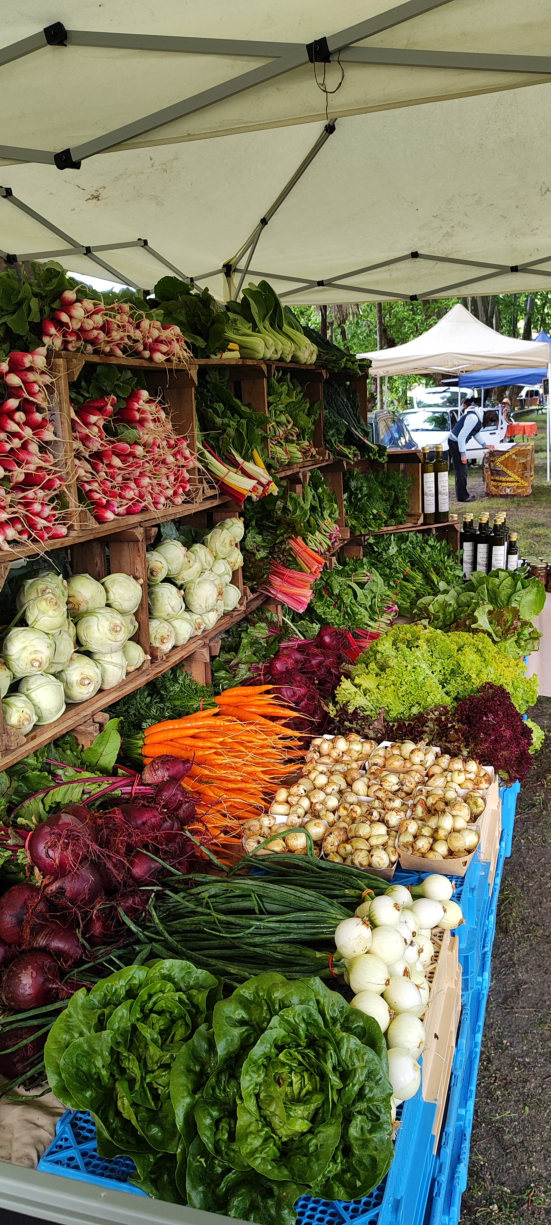 Abundant seasonal produce ready for preservation