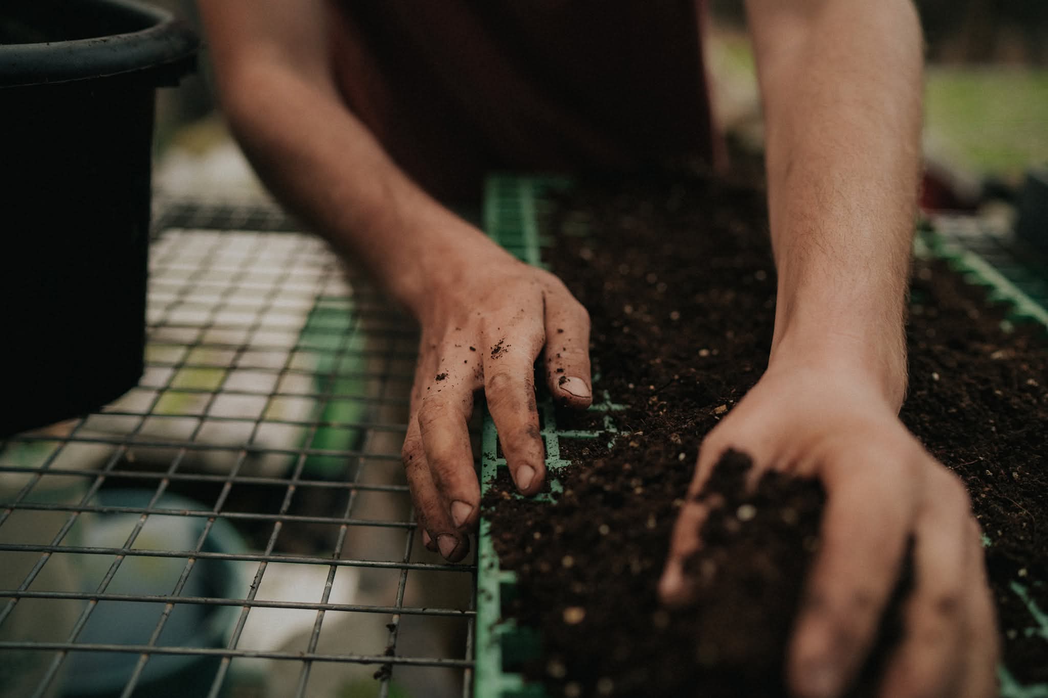 Working with compost and fertility in the greenhouse