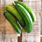Mini medeterain cucumbers - Thumbnail 1