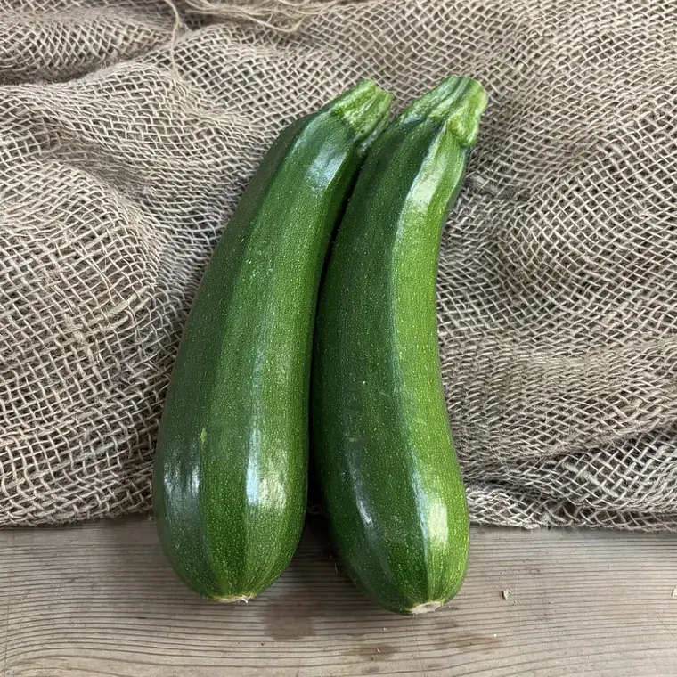 Mini Zucchini dark green skin 1