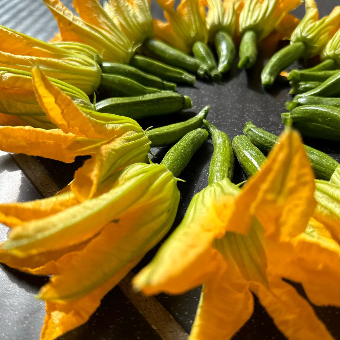 Zucchini flowers  1