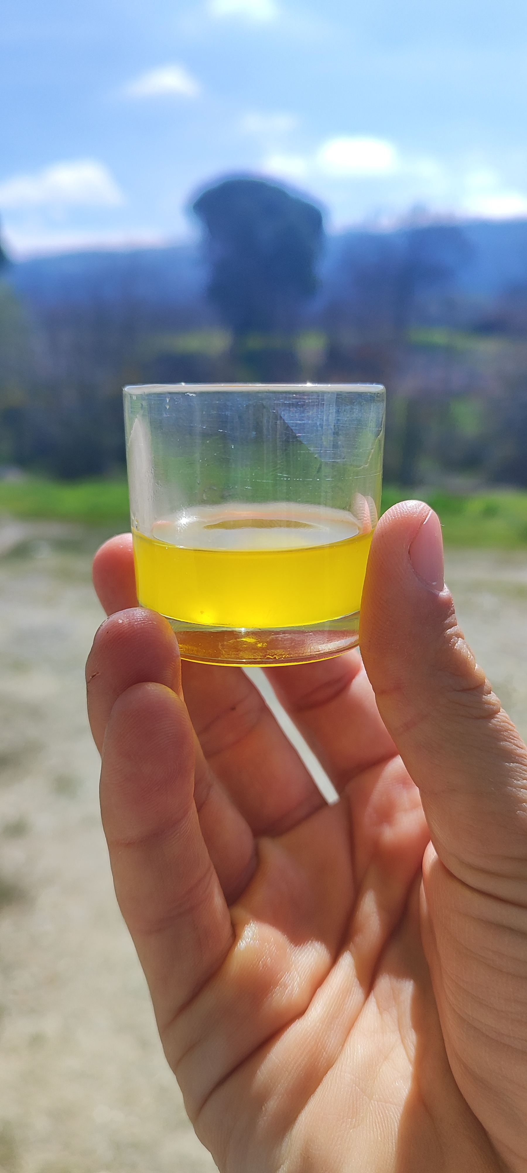 Fresh olive oil