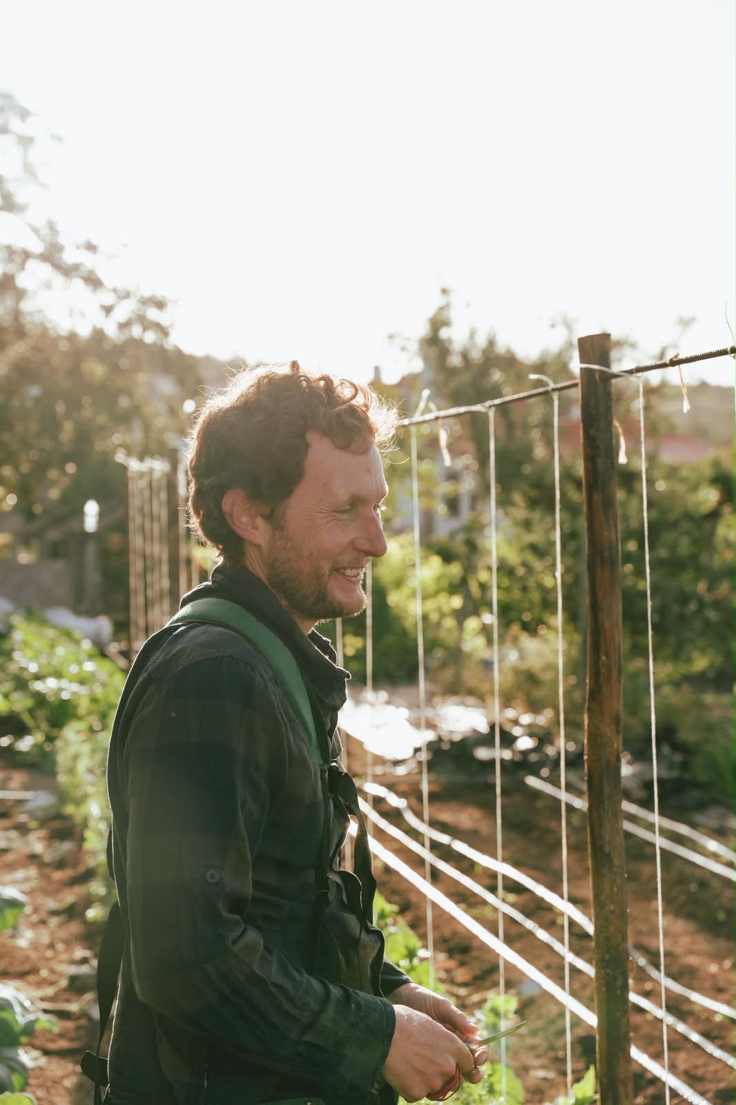 Asaf Mininberg