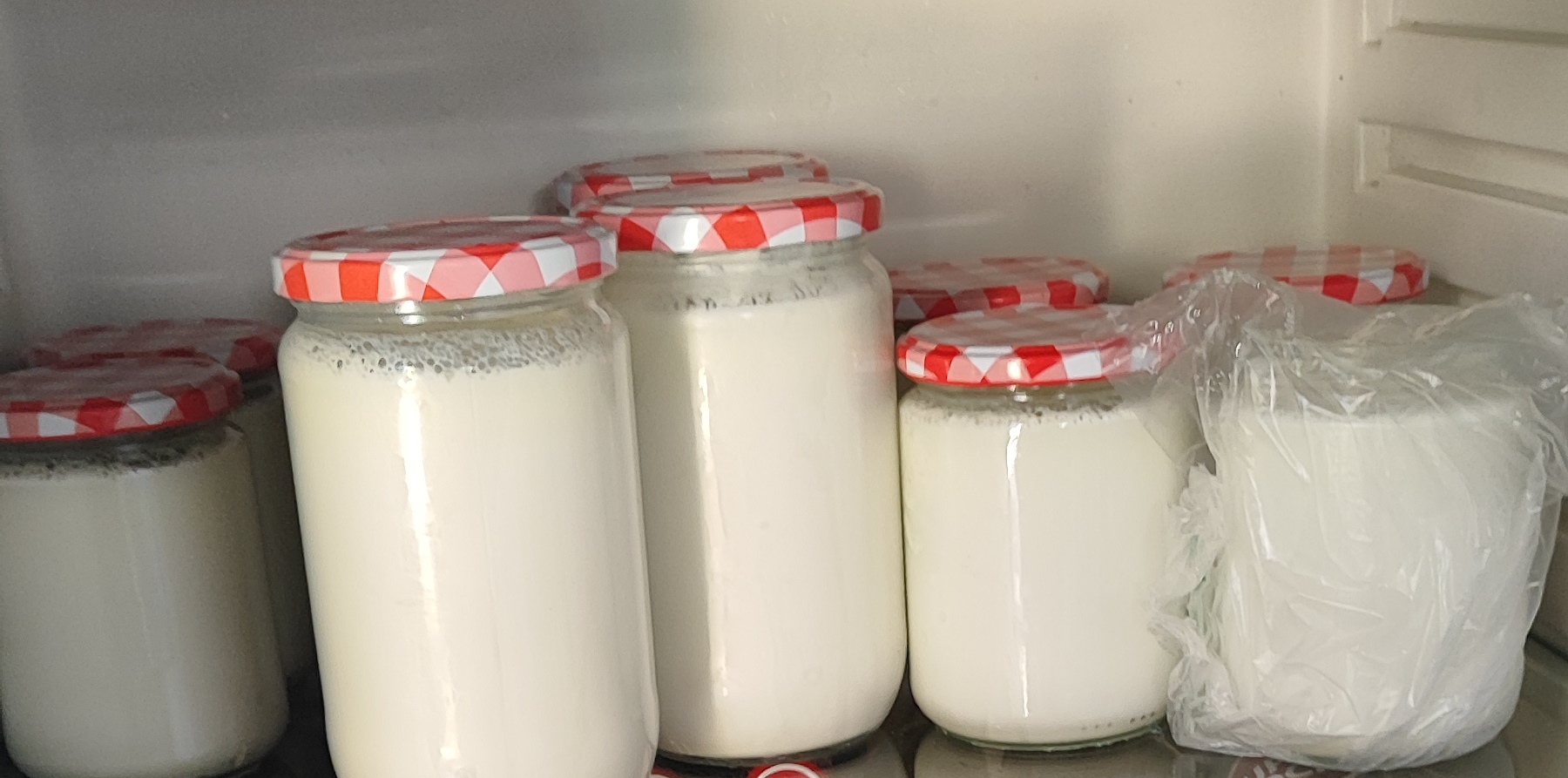 Cheese making