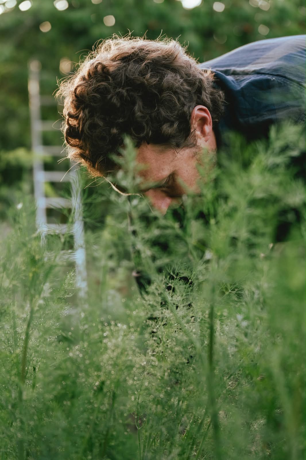 Overwinter planting at the quinta
