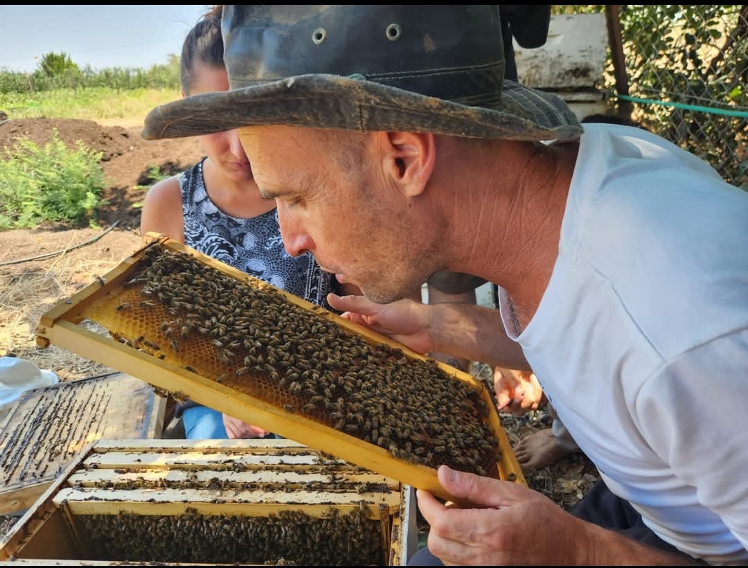 Bees and honey with Zohar