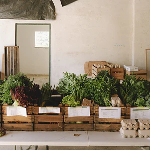 Farmer's choice box - Family size - summer version 
