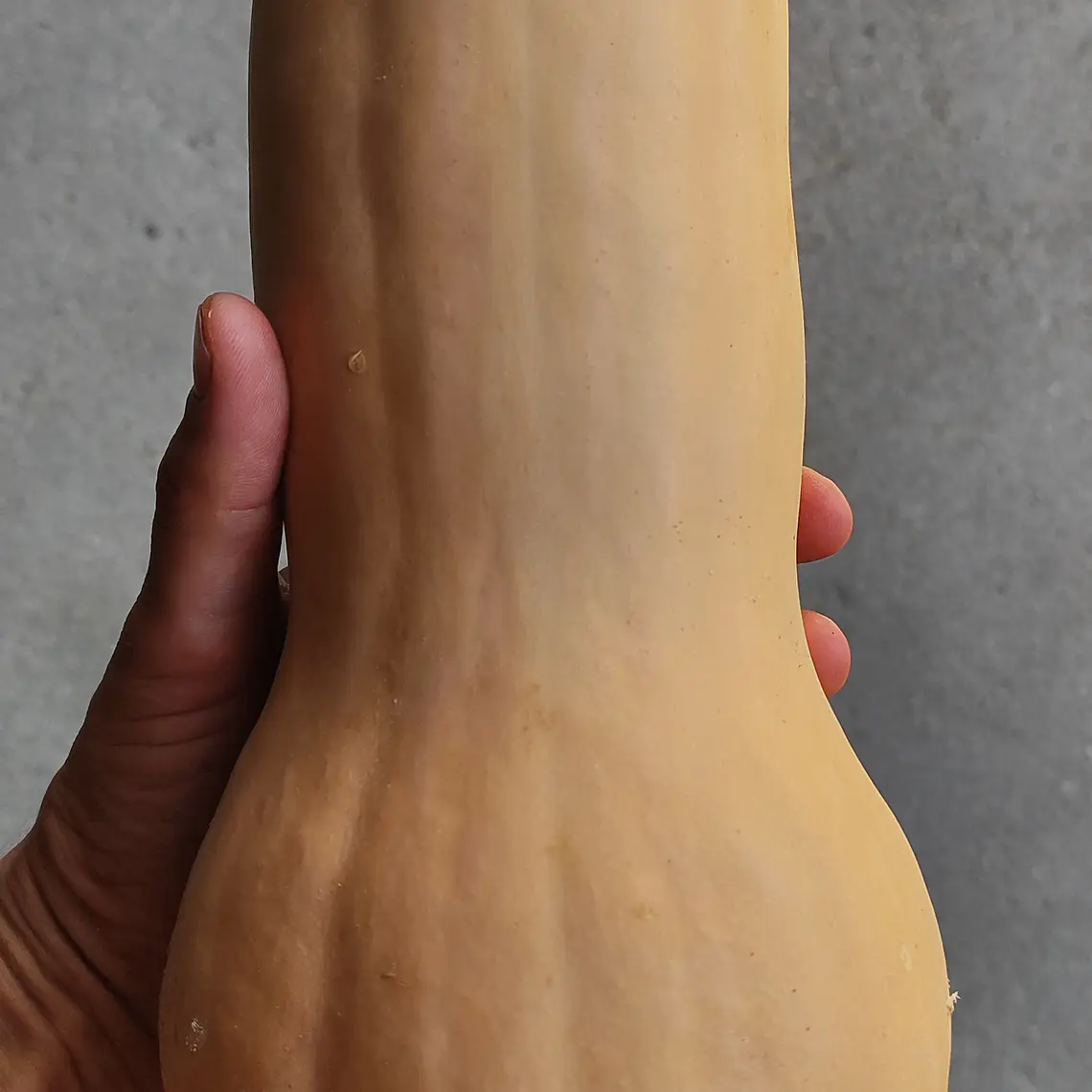 butternut squash 1