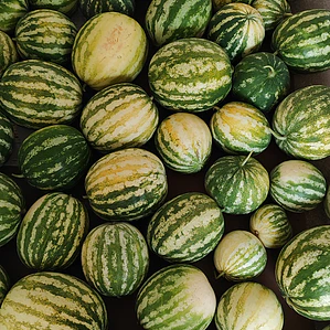 Sweet Watermelon