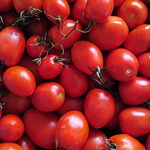 Field tomatoes - 'chucha' (kg)