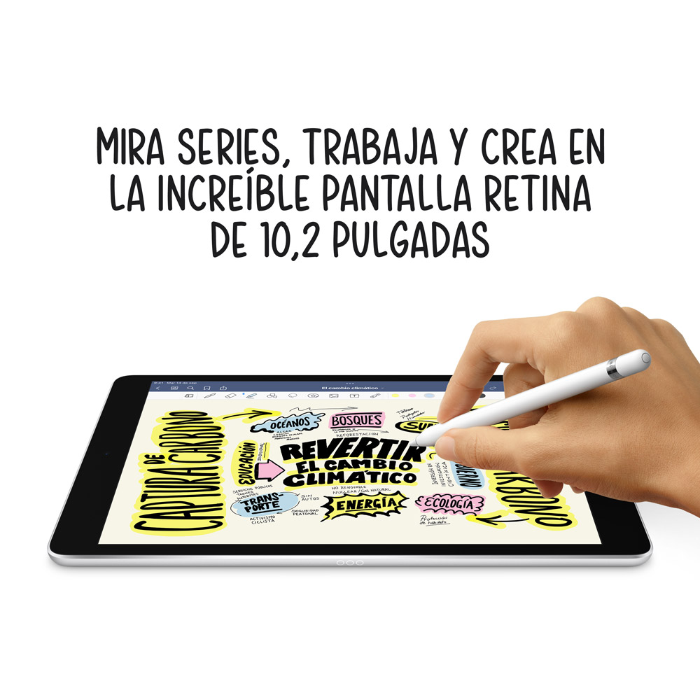  - iPad 10.2 9ªGen WiFi + Cellular 64 GB gris espacial 4