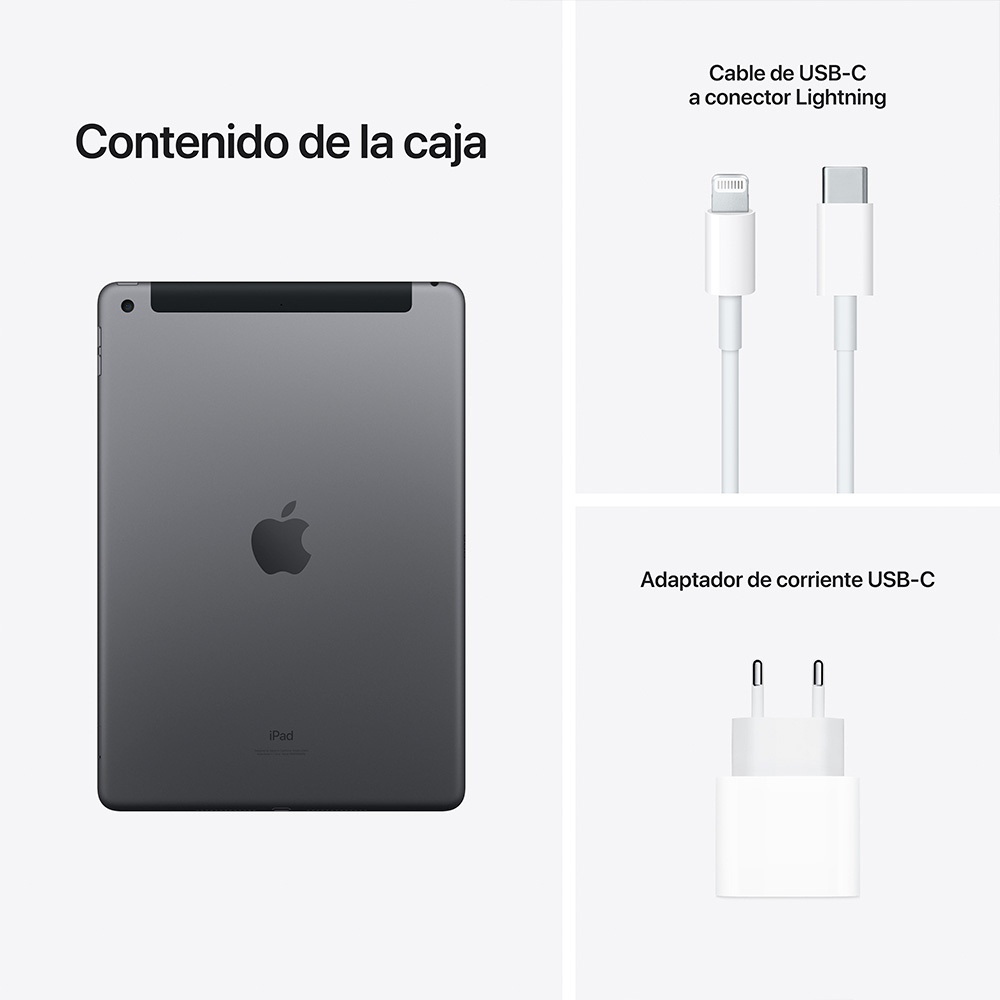  - iPad 10.2 9ªGen WiFi + Cellular 64 GB gris espacial 9