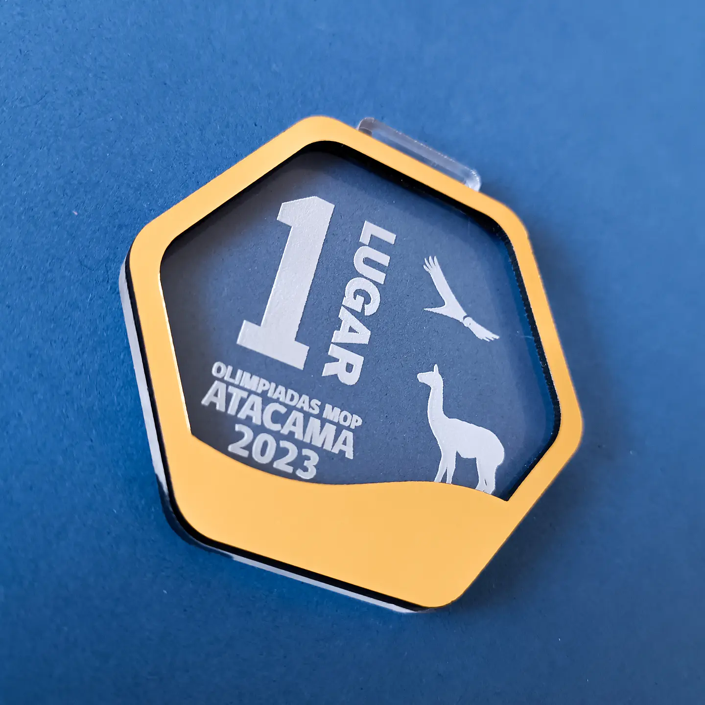 Medallas Acrílicas Bicapa 3