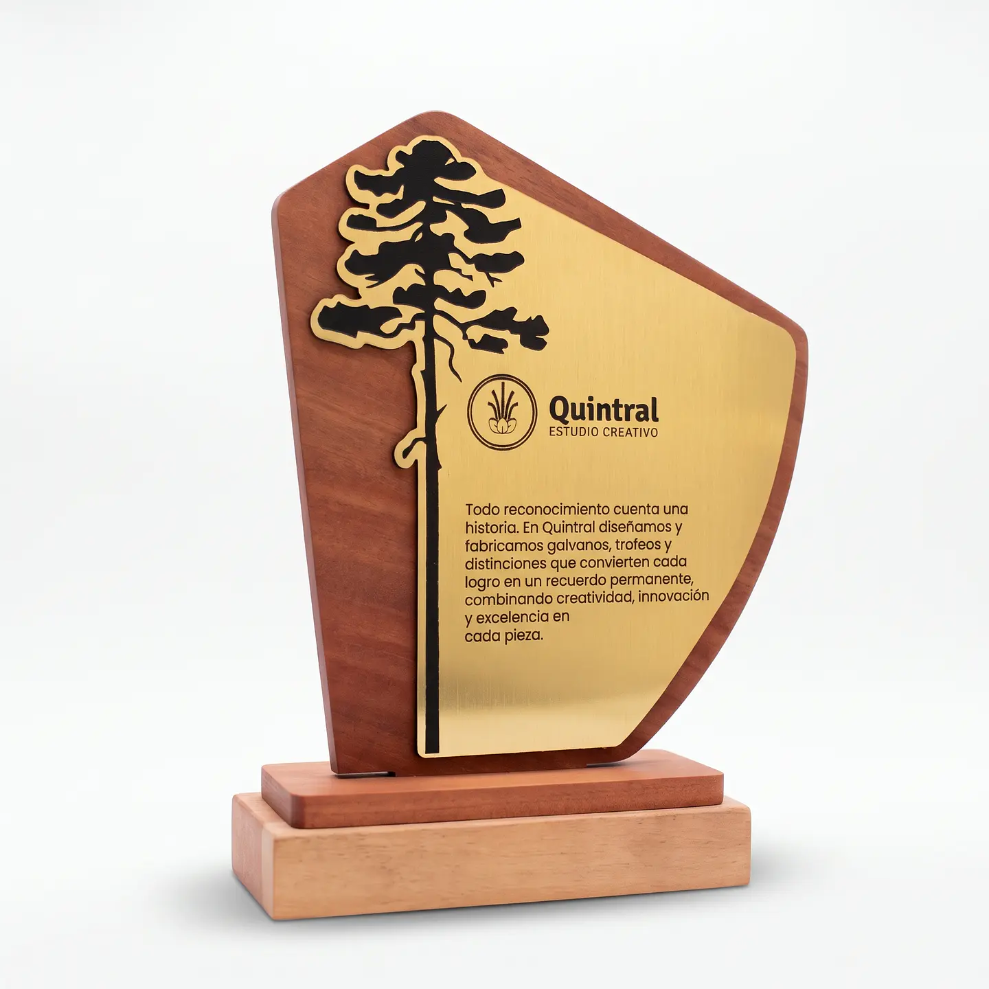 Galvano Araucaria 1