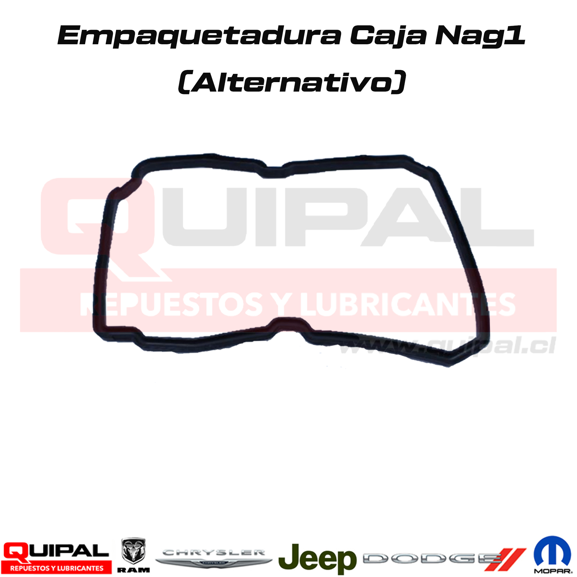 Empaquetadura Carter Caja NAG1