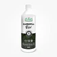 Clorofila Vital - ECOVALLE - Miniatura 1