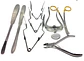 SET DENTAL ROEDORES - Miniatura 1