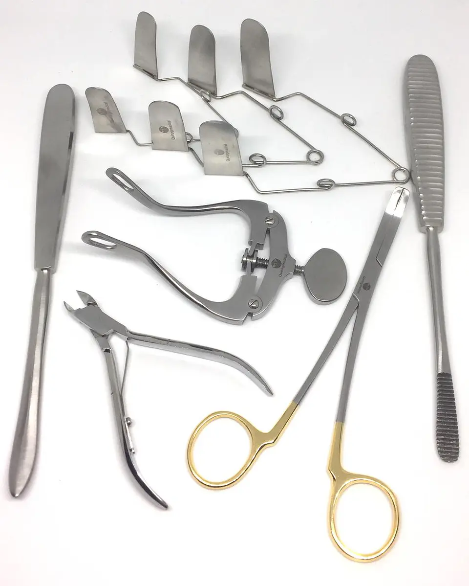 SET DENTAL ROEDORES 2