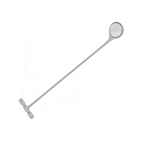 ESPEJO DENTAL EQUINOS CON MANGO EN T