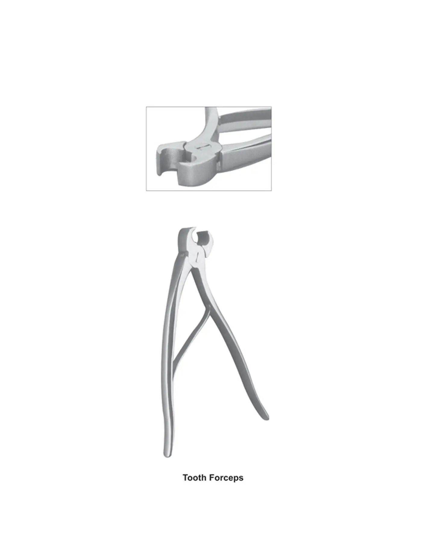 Tenaza dental cortadora Dental 1